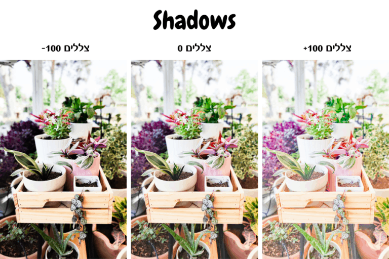 417 Photo Editing - Shadows