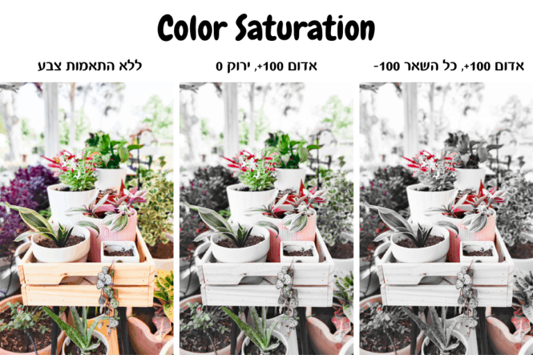 419 Photo Editing - Color Saturation